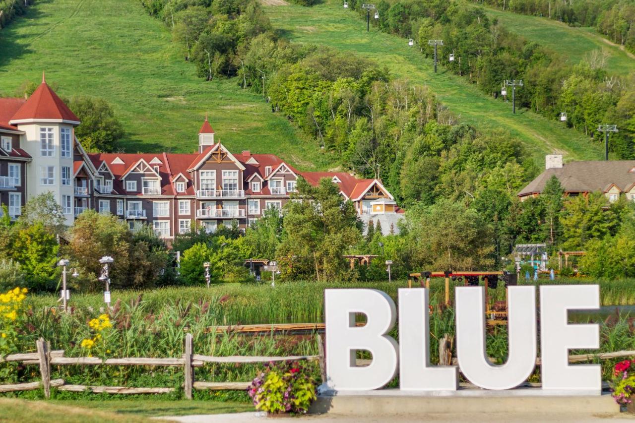 211 Chateau Ridge Blue Mountains Ngoại thất bức ảnh