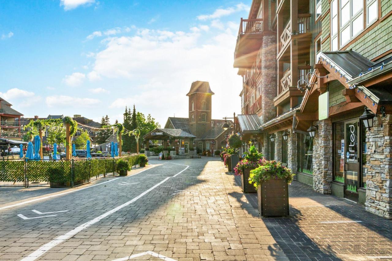 211 Chateau Ridge Blue Mountains Ngoại thất bức ảnh
